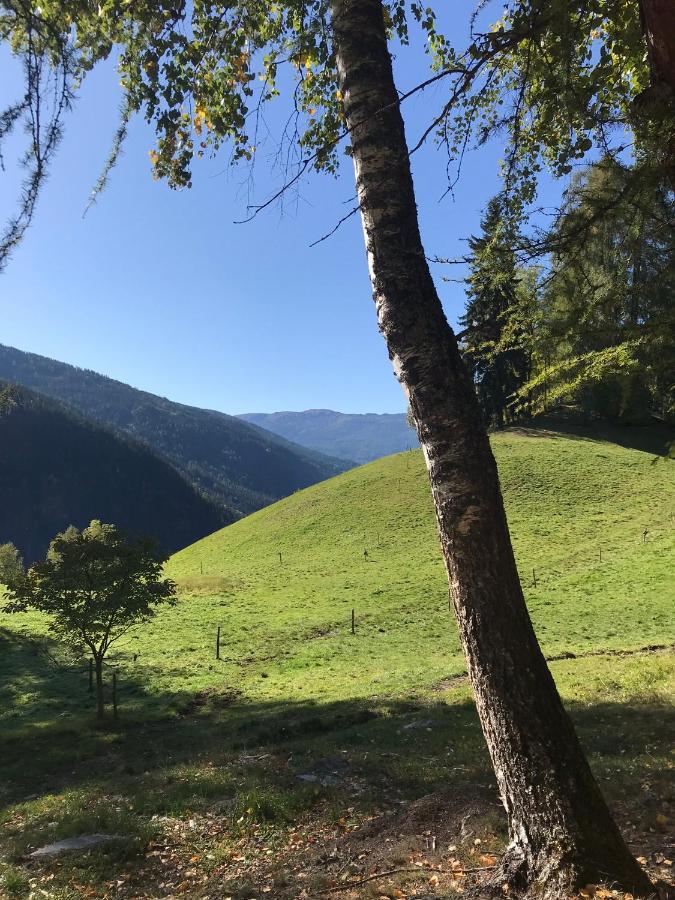 Wohlfuehl-Appartement Kreischberg Inclusive Murau Sommergaestecard Sankt Georgen ob Murau Exterior foto