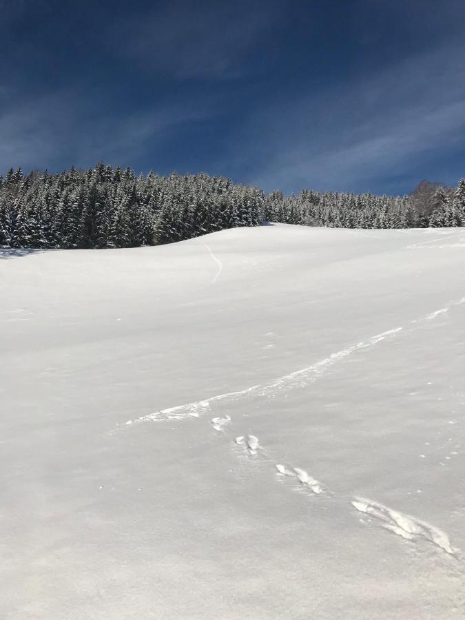 Wohlfuehl-Appartement Kreischberg Inclusive Murau Sommergaestecard Sankt Georgen ob Murau Exterior foto