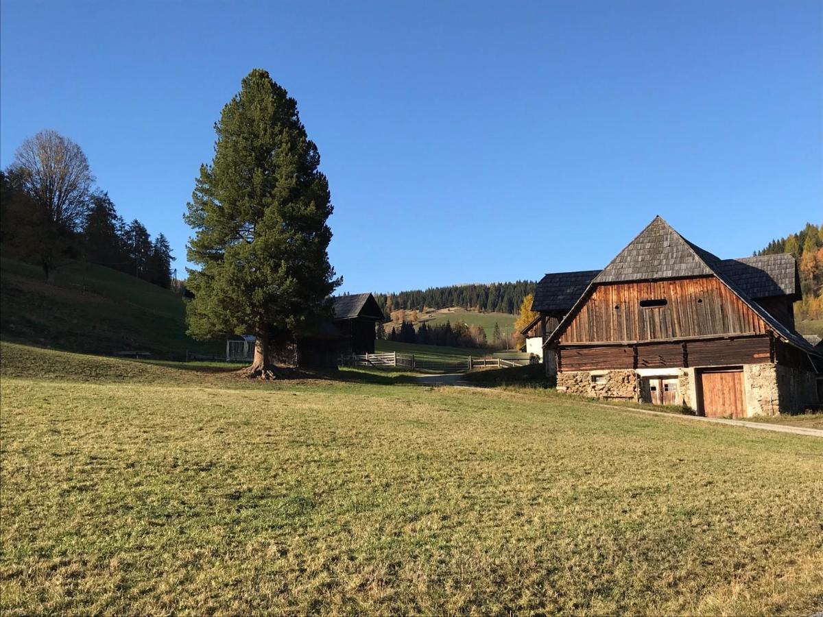 Wohlfuehl-Appartement Kreischberg Inclusive Murau Sommergaestecard Sankt Georgen ob Murau Exterior foto