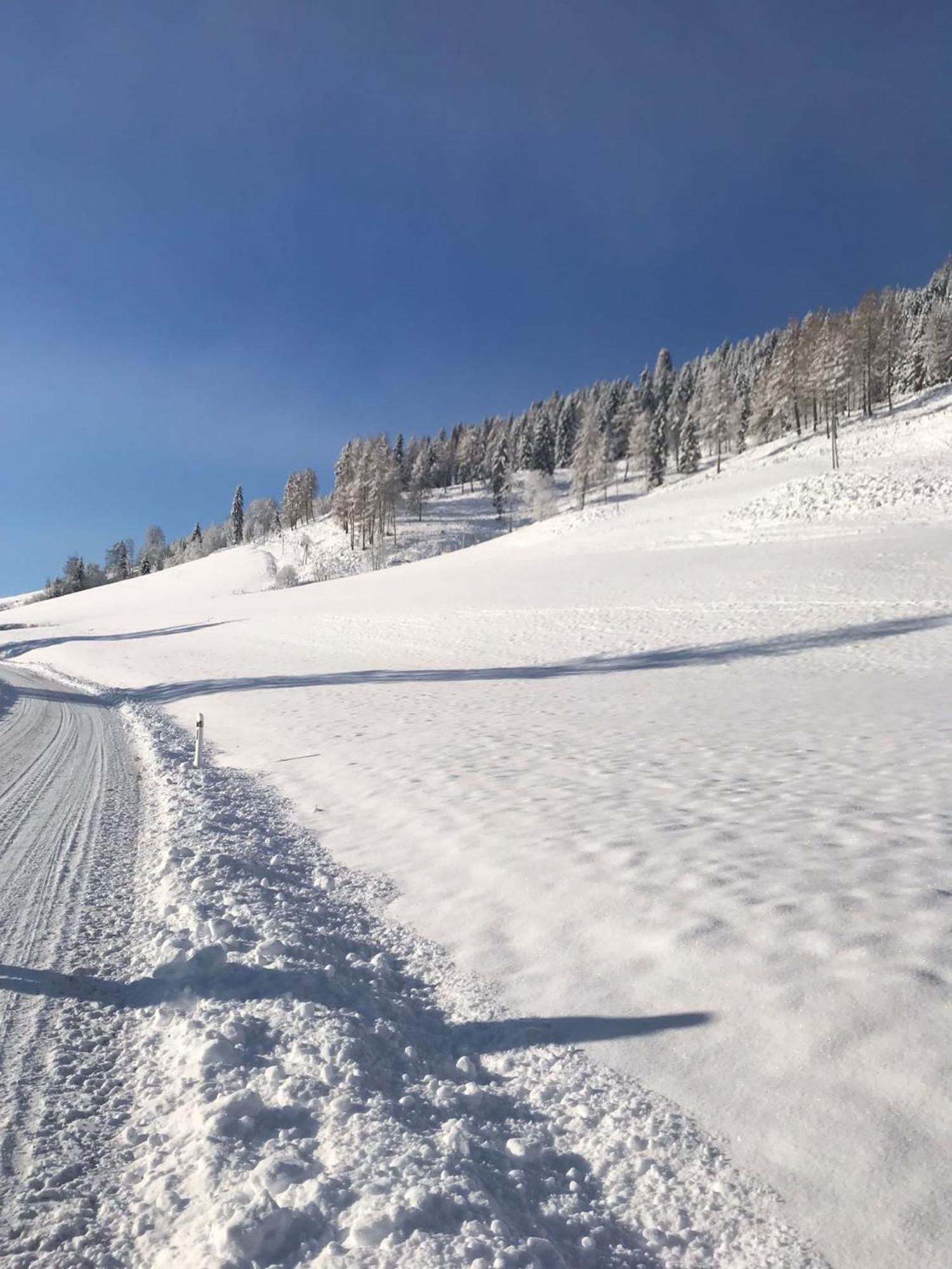 Wohlfuehl-Appartement Kreischberg Inclusive Murau Sommergaestecard Sankt Georgen ob Murau Exterior foto