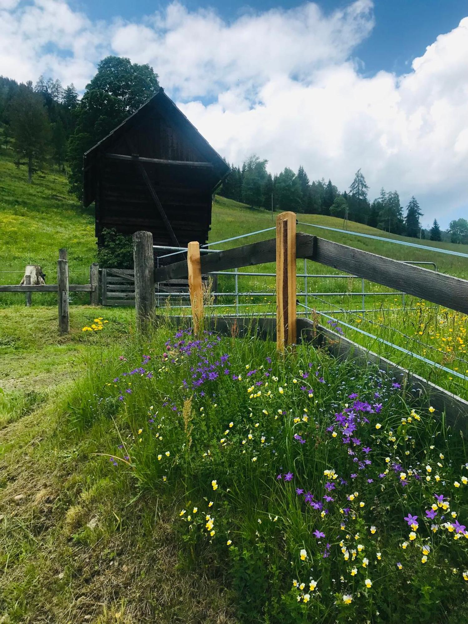 Wohlfuehl-Appartement Kreischberg Inclusive Murau Sommergaestecard Sankt Georgen ob Murau Exterior foto