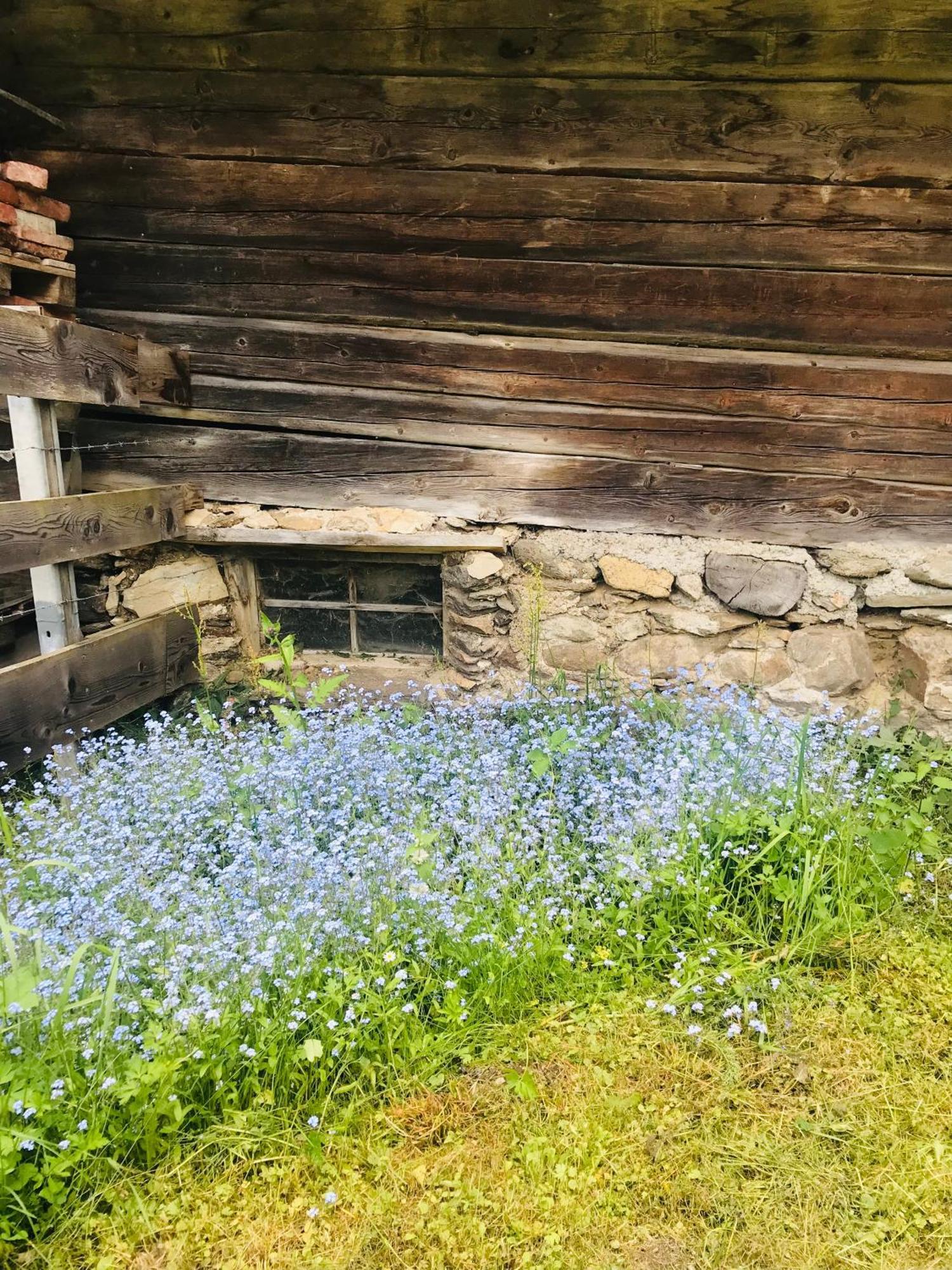Wohlfuehl-Appartement Kreischberg Inclusive Murau Sommergaestecard Sankt Georgen ob Murau Exterior foto